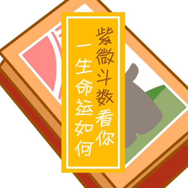 紫薇四柱八字排盘怎么看：紫薇八字免费排盘-八字