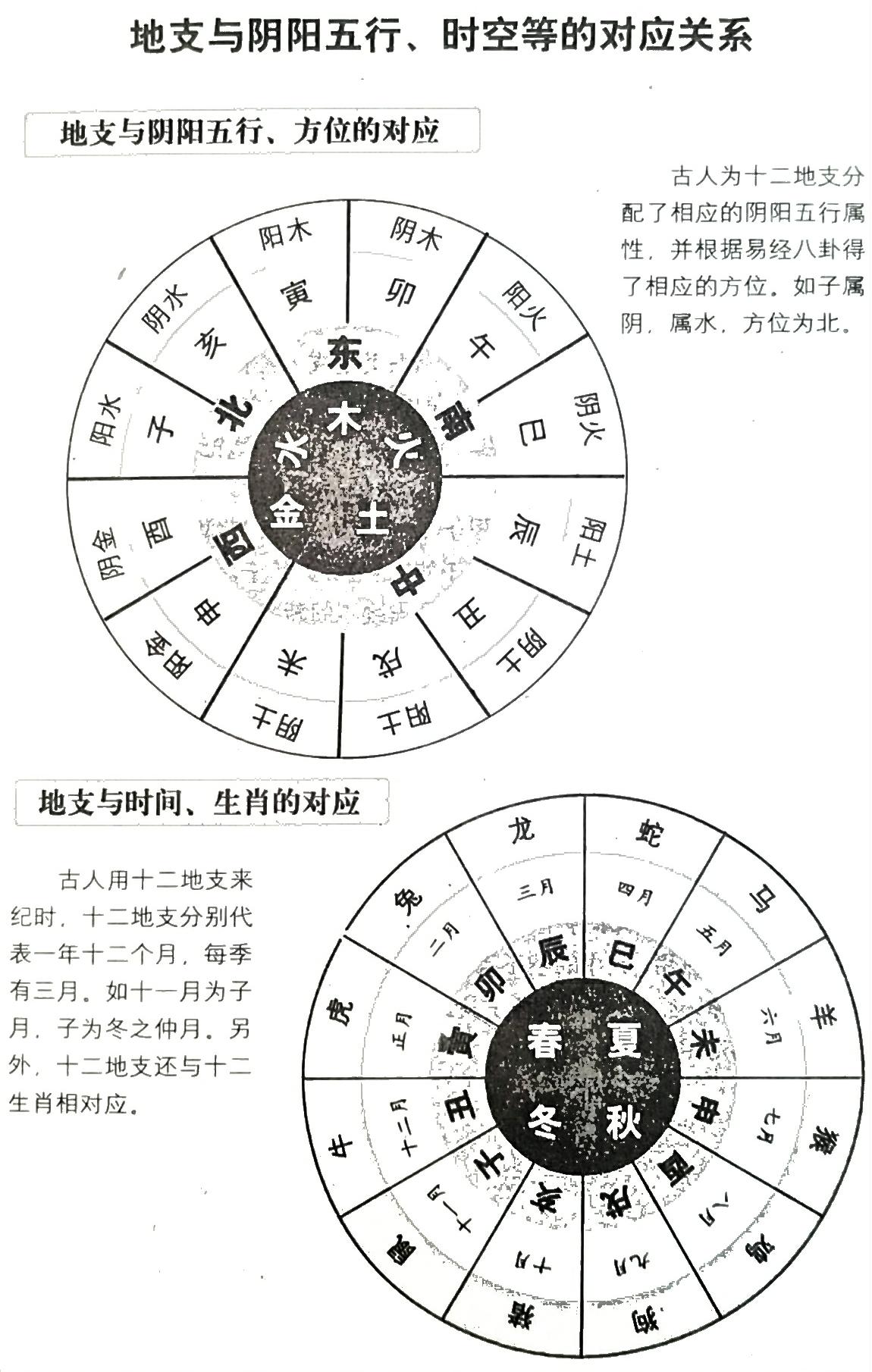 维基解密阿桑奇和他的解密王国_阴阳割昏晓中阴阳_干支阴阳解密