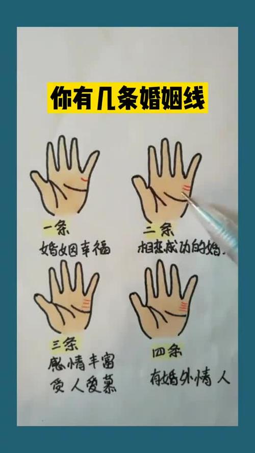 女人手相智慧线分叉_手相算命感情线分叉_男人手相事业线分叉图解