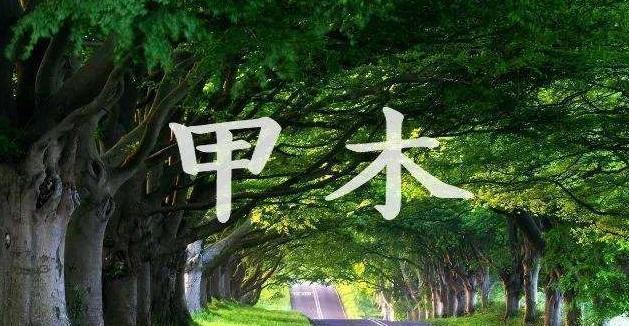 上证交易所八字格局_八字基础格局_八字命理格局查询