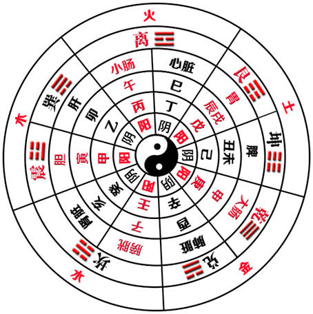 干支阴阳八卦五行纳音_阴阳 四象 五行 八卦_干支五行+支藏五行