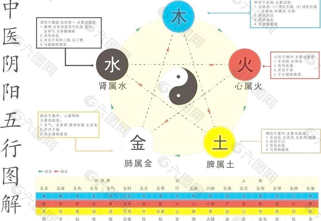 阴阳浅谈五行属于什么_干支组合阴阳_阴阳浅谈五行是什么