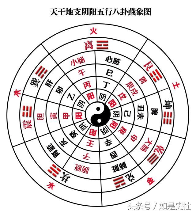 干支阴阳气质_天干地支的阴阳五行_地支的五行阴阳