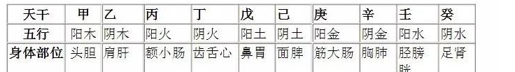 阴阳干支作用_阴阳干支三合历_日干支阴阳