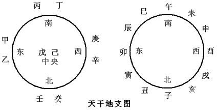 阴阳与天干地支的关系？干者犹树之干也