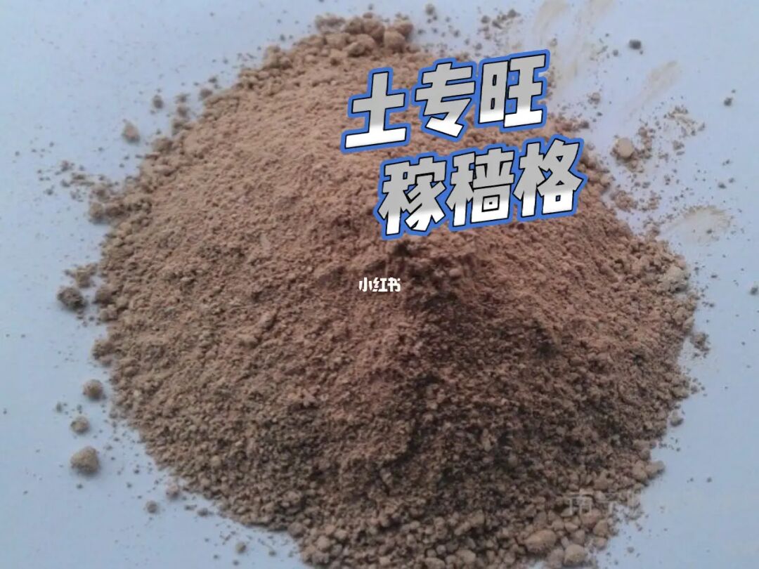 风水堂:八字格局成功与失败的区别