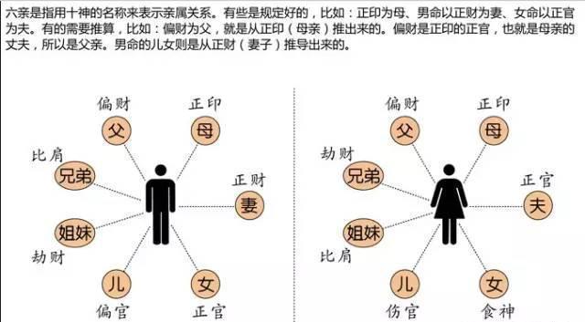 八字中的六亲宫位_八字看六亲星的移位_八字算命中六亲定位详解