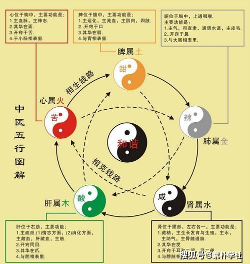 （李向东）阴阳五行八卦、干支、二十四节气的区别