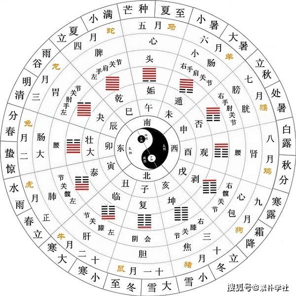 天干地支属相八卦图_八卦图对应天干地支_八卦对应的地支