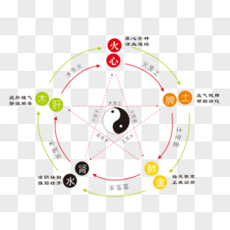 五行生克及反克_五行反克是什么意思_五行反生为克
