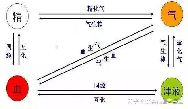 为什么中医学周易_周易中医学书_周易与中医学书籍