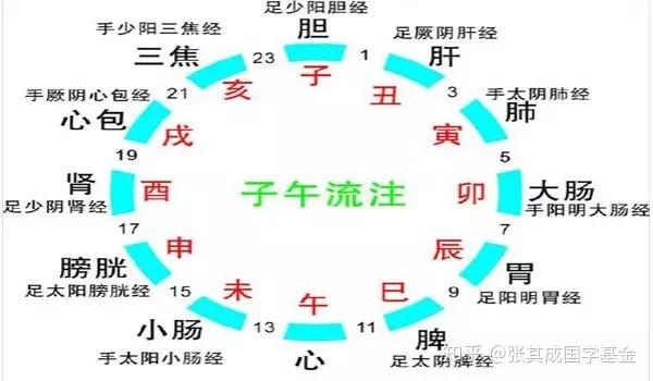 为什么中医学周易_周易中医学书_周易与中医学书籍