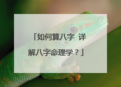 八字命理学(四柱八字命理学)