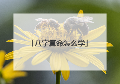 八字命理学(四柱八字命理学)