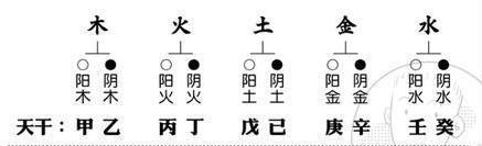 八字基础知识2—天干、地支、五行、阴阳