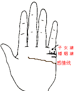 男人左手断掌手相图解大全_site12ky.com 男人左手手相图解大全_男人左手手相断掌