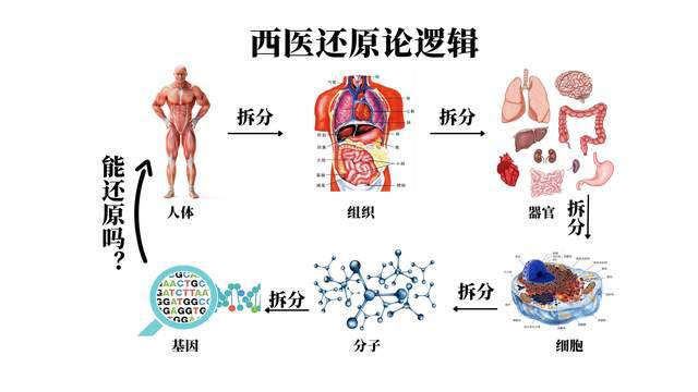 中医起源与周易_中医解周易原文_精通周易更能理解中医