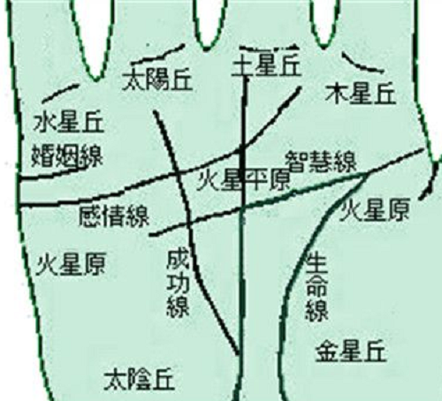 男人假断掌手相算命图解_男左手相断掌算命图解_女左断掌手相算命图解