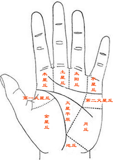 女人断掌手相图解_手相月丘有竖纹图解_手相图解有短文