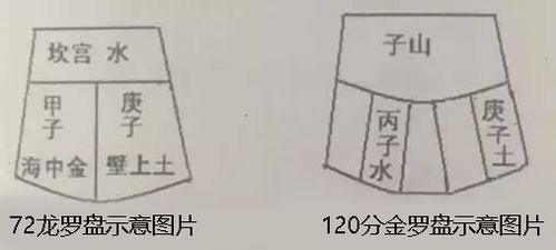 仙命纳音五行属相