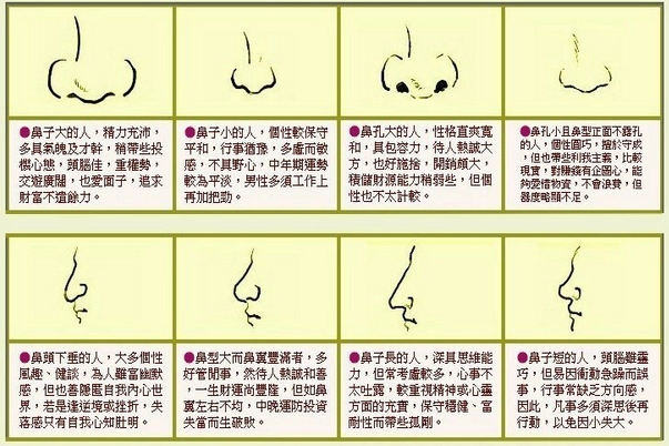 看面相图解男人鼻子_男人面相寃什黱鼻子好_男人鼻子面相图解