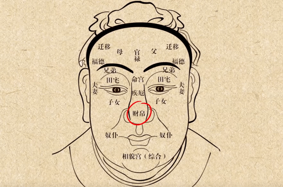 头顶两侧骨头凸起面相_头顶两边骨头突出面相_头顶伏羲面相图解