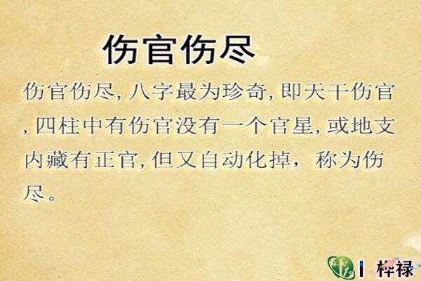 好斗的命理八字_真正的好八字命局_八字命好的特征