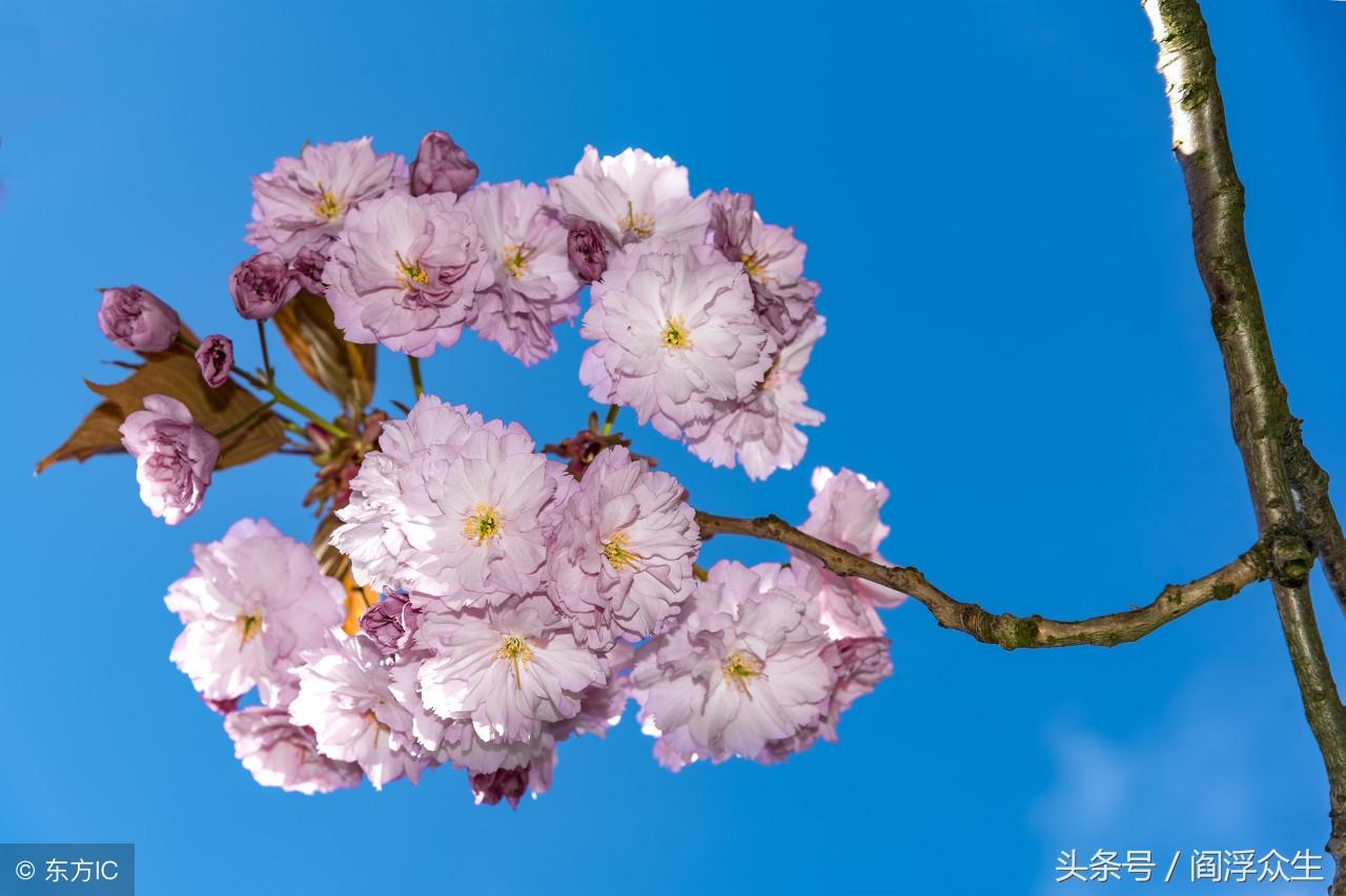 八字四柱流年详解_四柱八字流日_八字四柱流年