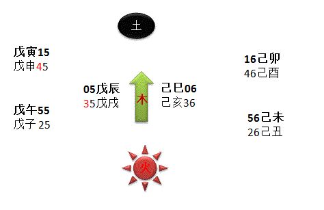 甲子纳音口诀五行局图示_六十甲子纳音五行最怕什么_龙道讲解易学60甲子纳音五行