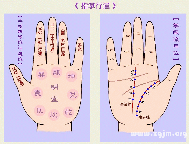 成涛掌相指掌行运