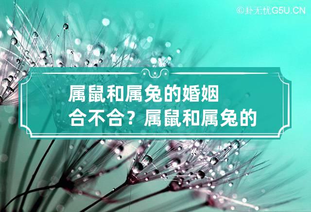 属兔人2019年运势及财运_2019属兔每月婚姻运势_2021年属兔每月婚姻感情