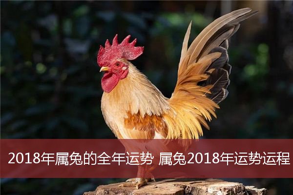 <strong>风水堂：2019年发财的运气运势</strong>