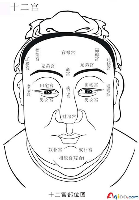 面相骨骼_面相体相骨相_面相骨骼部位名称