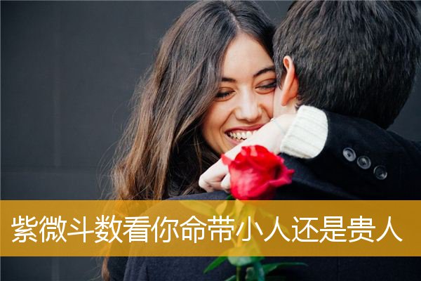 紫微斗数中的情绪宫位_紫微天相子女宫_紫薇斗数宫干四化