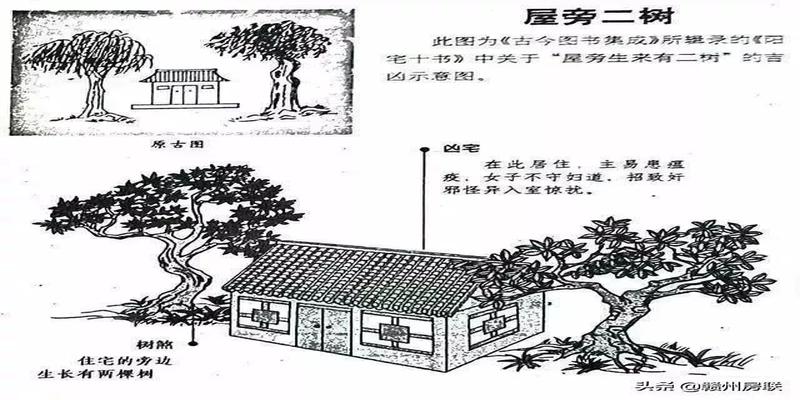 住宅楼风水大门位置图_住宅大门颜色风水禁忌_农村住宅大门位置风水