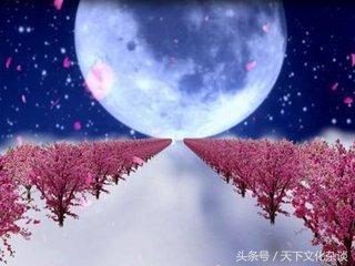 八字四柱无财星_八字无财星无财库_女命八字无官无财星