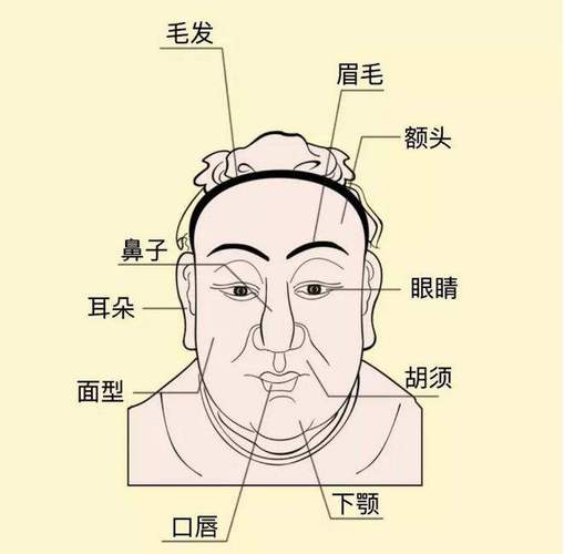 3万App牵手门女主面相一定要当心五官细小的男人12万眼睛辨