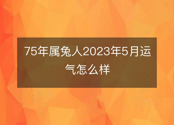 生肖兔2018年运势_属兔2018年事业运势_属兔的2018年运势