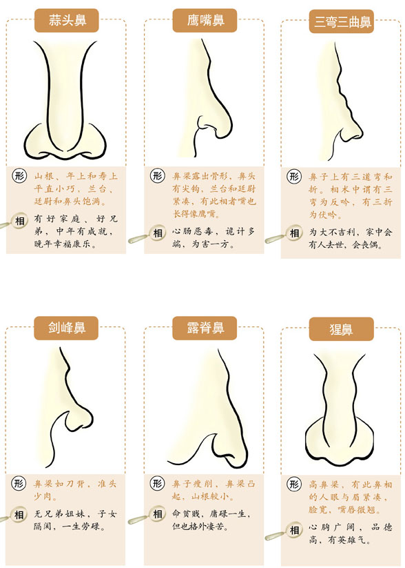 鼻梁印堂面相分析_面相鼻梁印堂分析图解_鼻梁到印堂