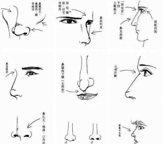 鼻梁印堂面相分析_面相鼻梁印堂分析图解_鼻梁到印堂