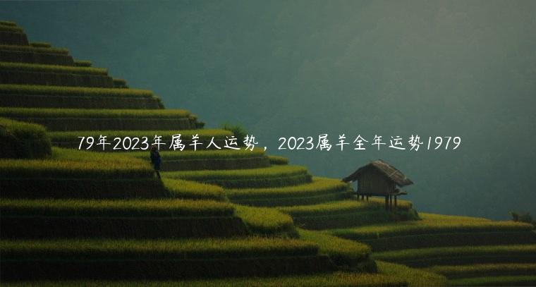 79年2023年属羊人运势事业运势