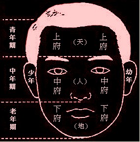 面相学面相学_面相学解说_面相学的图解与解释是什么