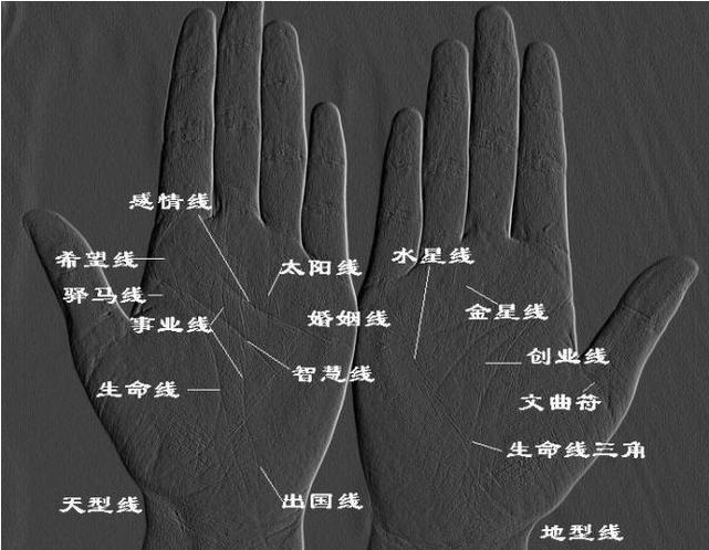 手相上一条线叫做“生命线”，常常出现吓人的荒谬现象