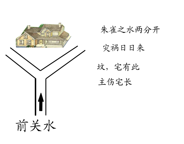 住宅西侧栽树风水_住宅西侧栽树风水_住宅西侧栽树风水