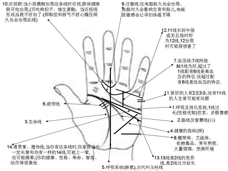 男孩横纹手相图解_男孩横纹手相图解_男孩横纹手相图解