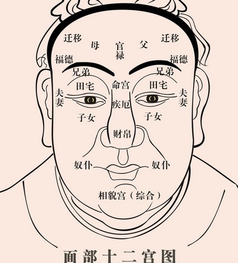 相学要点_相学有哪些书籍_现代相学的小知识