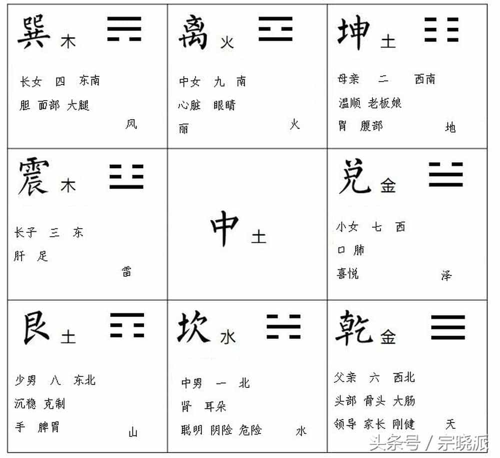 紫微天干地支与宫的关系_紫薇宫干是什么意思_紫微斗数干支与宫位的作用