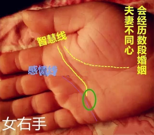 夫妻离婚后又想复婚的手相图解又有哪些特点