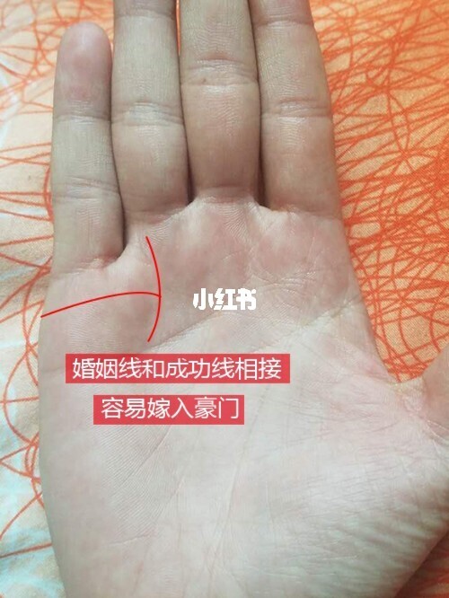 女人手相算命姻缘_算命姻缘手相女人图解_算命姻缘手相女人怎么看