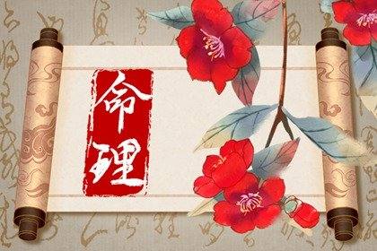 八字十神详解